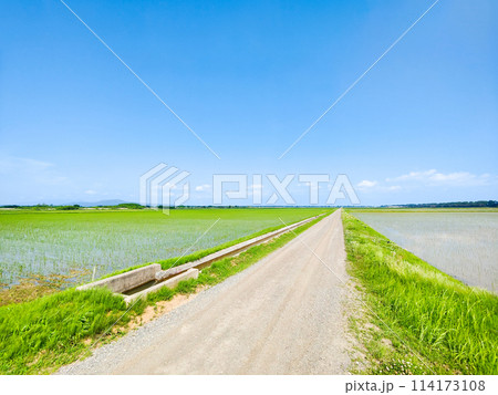 八郎潟干拓地 八郎潟干拓地 114173108
