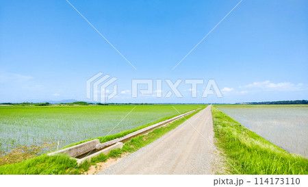八郎潟干拓地 114173110