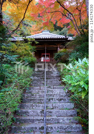 久安寺の御影堂と紅葉(大阪府池田市) 久安寺の御影堂と紅葉(大阪府池田市) 114174330