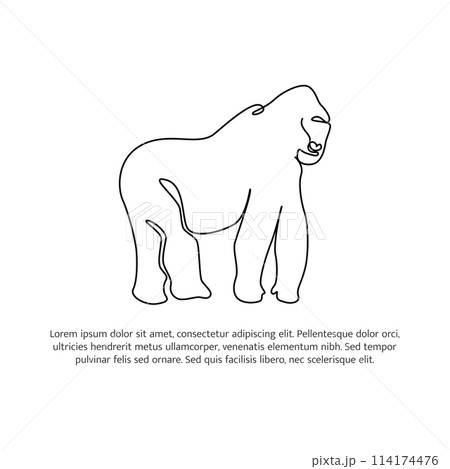 Gorilla line design. Simple animal silhouette decorative elements drawn with one continuous line. Vector illustration of minimalist style on white background. 114174476