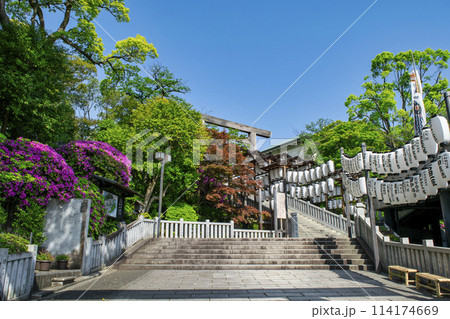 伊勢山皇大神宮　表参道　一ノ鳥居 114174669