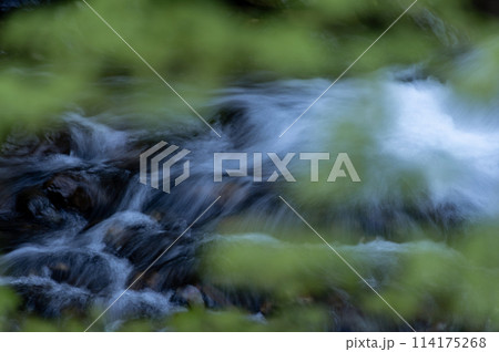 新緑の中を流れる爽やかな渓流の流れ 114175268