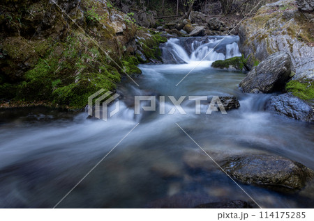 岩の間を流れる早春の渓流 114175285