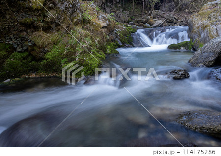 岩の間を流れる早春の渓流 114175286