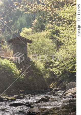 早春の渓谷と崖の上の廃屋 114175289