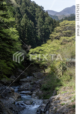 岩の間を流れる群馬県南牧村の蝉の渓谷 114175291