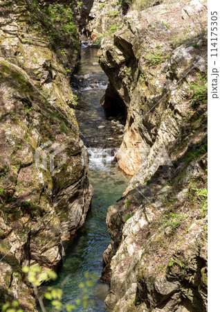 岩の間を流れる群馬県南牧村の蝉の渓谷 岩の間を流れる群馬県南牧村の蝉の渓谷 114175305