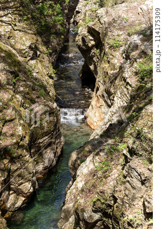 岩の間を流れる群馬県南牧村の蝉の渓谷 114175309