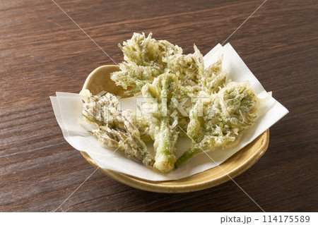 山菜　タラの葉の天ぷら 114175589