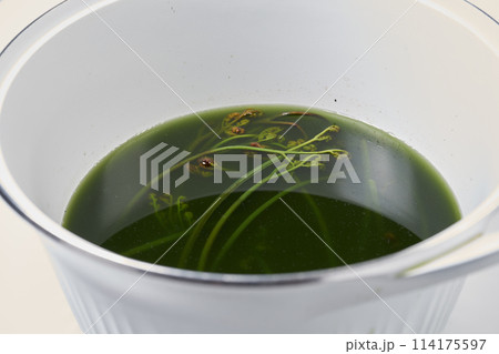 山菜 わらびの灰汁抜き 山菜 わらびの灰汁抜き 114175597