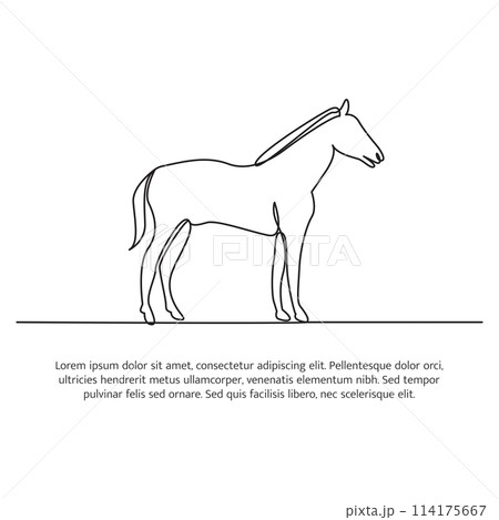 Horse line design. Simple animal silhouette decorative elements drawn with one continuous line. Vector illustration of minimalist style on white background. 114175667