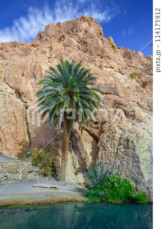 シェビカ 114175912