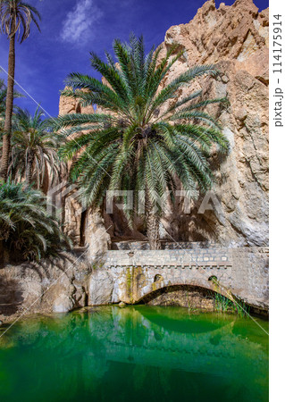 シェビカ 114175914