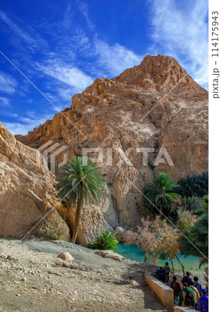 シェビカ 114175943