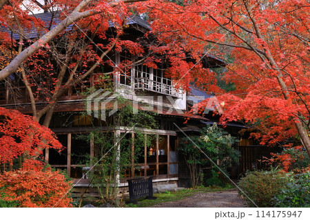 岩手県　紅葉の風景 114175947