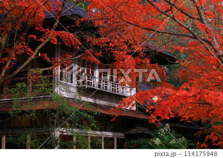 岩手県 紅葉の風景 岩手県 紅葉の風景 114175948