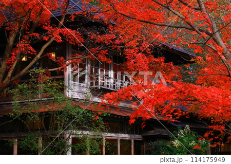 岩手県　紅葉の風景 114175949