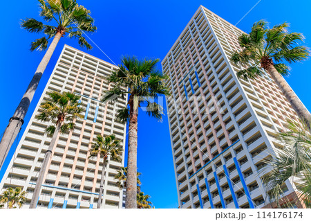 千葉県 浦安市 新浦安駅前の都市風景(エアレジデンス新浦安) 千葉県 浦安市 新浦安駅前の都市風景(エアレジデンス新浦安) 114176174