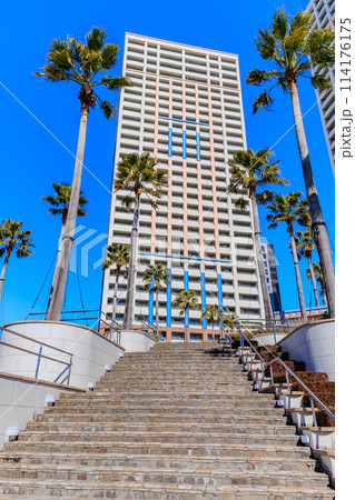 千葉県　浦安市　新浦安駅前の都市風景（エアレジデンス新浦安） 114176175