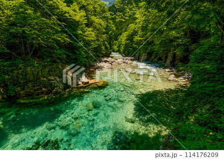 新緑と透き通ったエメラルドグリーン 114176209