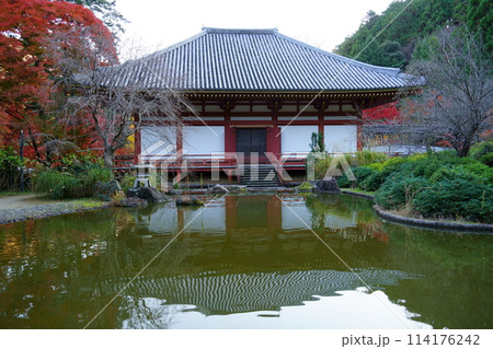 久安寺のバン字池と本堂／紅葉（大阪府池田市） 114176242
