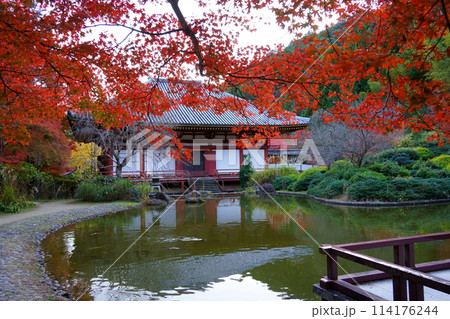久安寺の紅葉越しのバン字池と本堂(大阪府池田市) 久安寺の紅葉越しのバン字池と本堂(大阪府池田市) 114176244