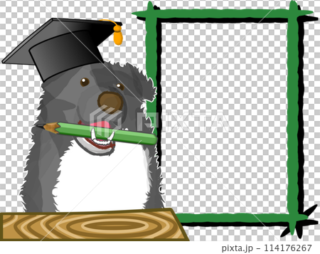 A dog doctor explaining on a blackboard 114176267