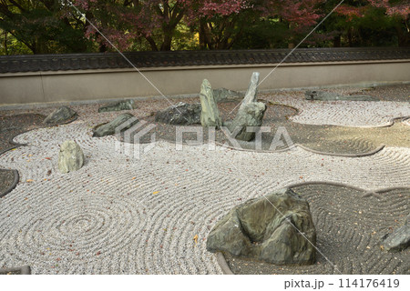 龍吟庵 西庭 龍の庭 龍吟庵 西庭 龍の庭 114176419