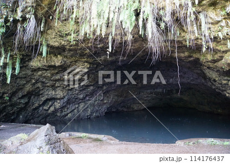 タヒチ島　テアナテア洞窟 114176437