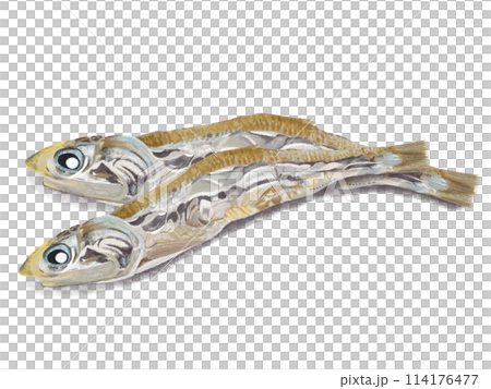 Boiling water Boiling water 114176477