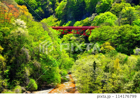高井橋／松川周辺を望む(長野県高山村)【2024.5】 114176799