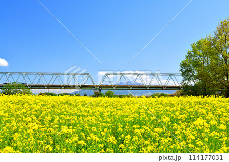 小布施橋／千曲川周辺を上流方向から望む(長野県小布施町)【2024.5】 114177031