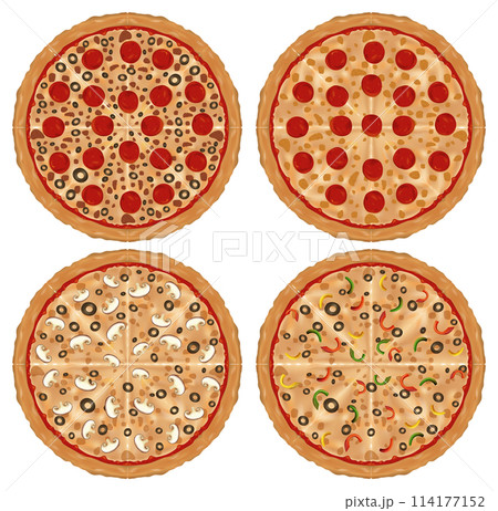 Variety of Tasty Pizzas Vector Illustration 114177152