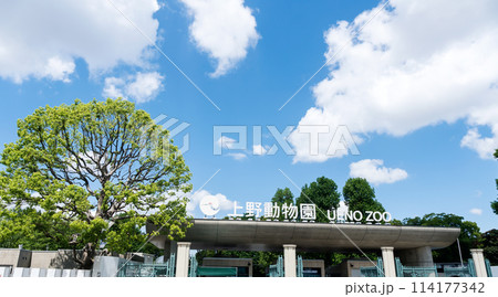 上野動物園 入口 春晴れの青空 ゴールデンウィーク 東京都台東区上野公園 上野動物園 入口 春晴れの青空 ゴールデンウィーク 東京都台東区上野公園 114177342