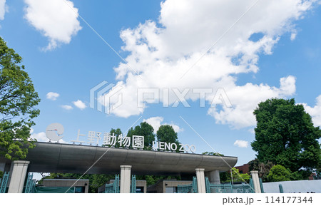 上野動物園　入口　春の快晴　ゴールデンウィーク　東京都台東区上野公園 114177344