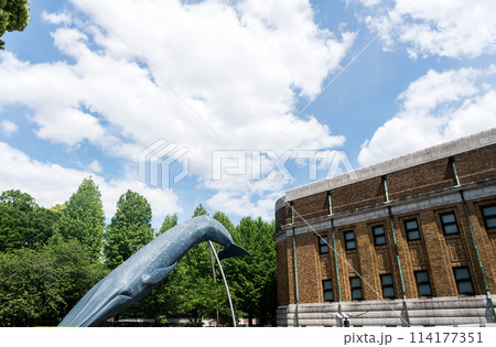 国立科学博物館の外観とくじら 春晴れの青空 ゴールデンウィーク 東京都台東区上野公園 国立科学博物館の外観とくじら 春晴れの青空 ゴールデンウィーク 東京都台東区上野公園 114177351
