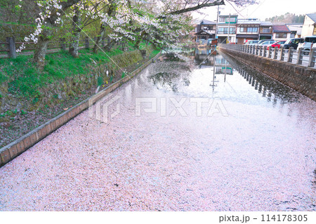 飛騨高山飛騨護国神社の桜 飛騨高山飛騨護国神社の桜 114178305