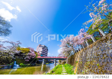 飛騨高山、中橋の桜 飛騨高山、中橋の桜 114178422