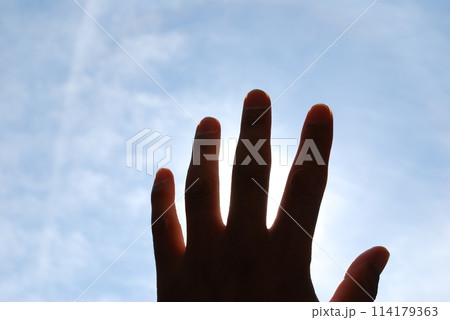 空に伸ばした手 114179363