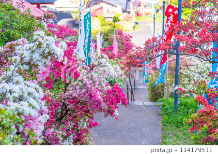 五大尊つつじ公園 114179511