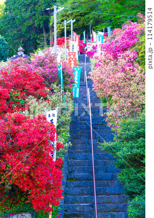 五大尊つつじ公園 114179514