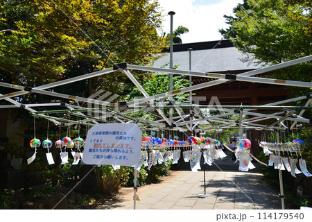 大宝八幡宮 2023-8-6 #27 大宝八幡宮 2023-8-6 #27 114179540