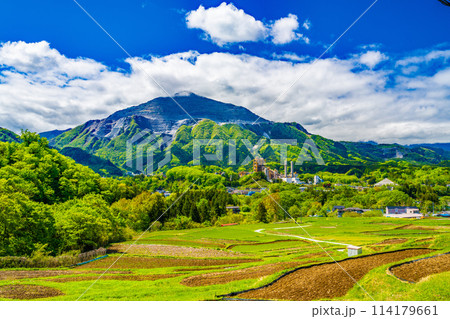 寺坂棚田から見た春の武甲山 寺坂棚田から見た春の武甲山 114179661