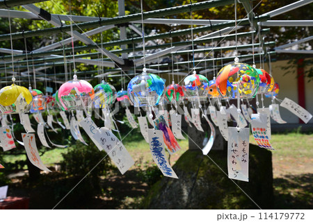 大宝八幡宮　2023-8-6　＃37 114179772