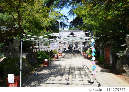 大宝八幡宮　2023-8-6　＃40 114179775