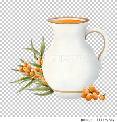 Fresh sea buckthorn juice in white jug with twig of orange Hippophae berries watercolor illustration isolated on white. Hand drawn healthy drink in ceramic pitcher for rustic vegan and diet beverages Fresh sea buckthorn juice in white jug with twig of orange Hippophae berries watercolor illustration isolated on white. Hand drawn healthy drink in ceramic pitcher for rustic vegan and diet beverages 114179783