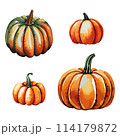 Pumpkins collection vector illustration.  114179872