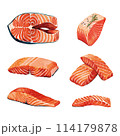 Salmon steaks set collection 114179878