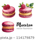 Macarons with raspberries vector illustration 114179879