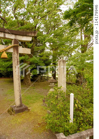 村の鎮守の森　【八幡神社】 114179946